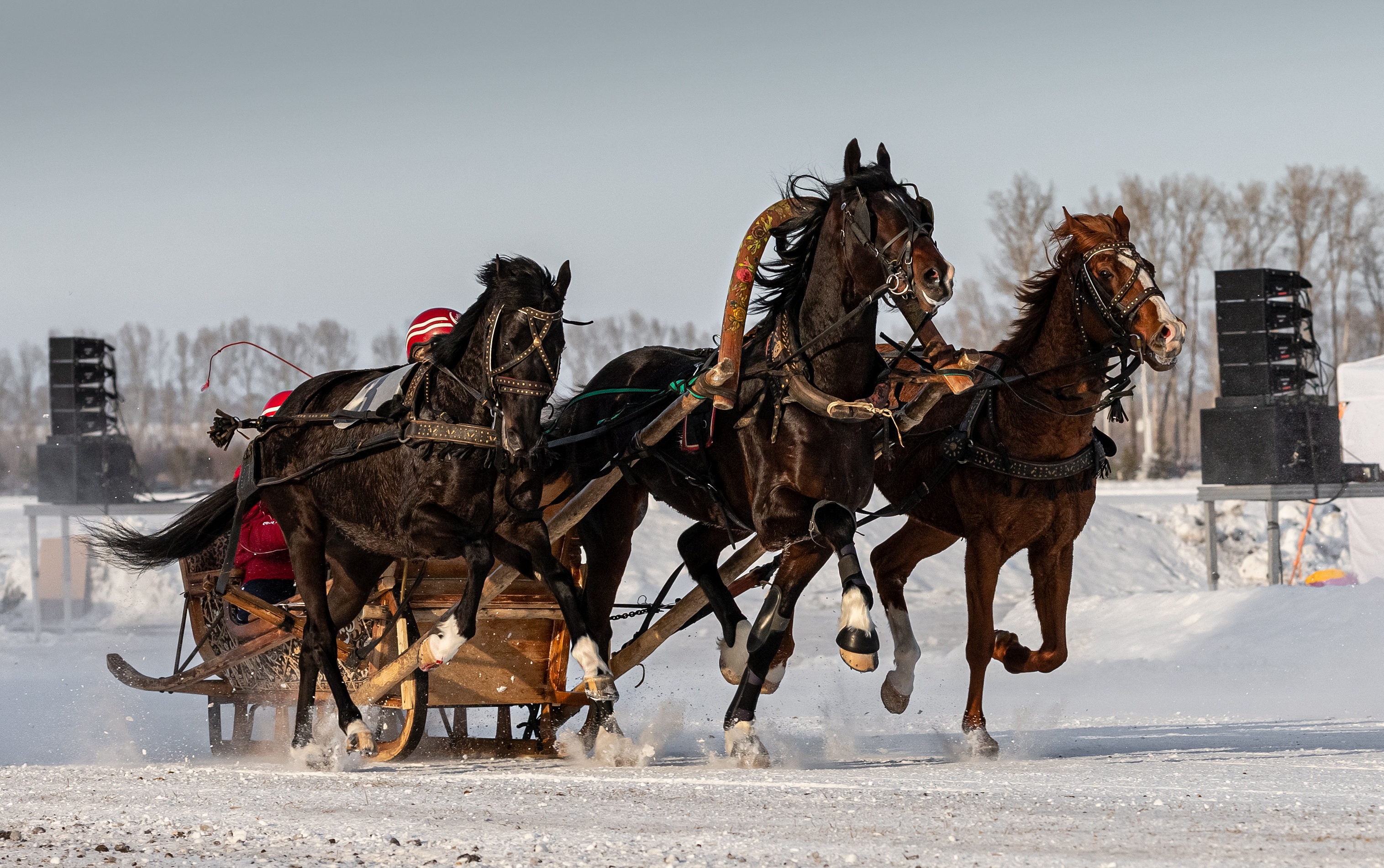 «Бочкари» на Сибирской Масленице