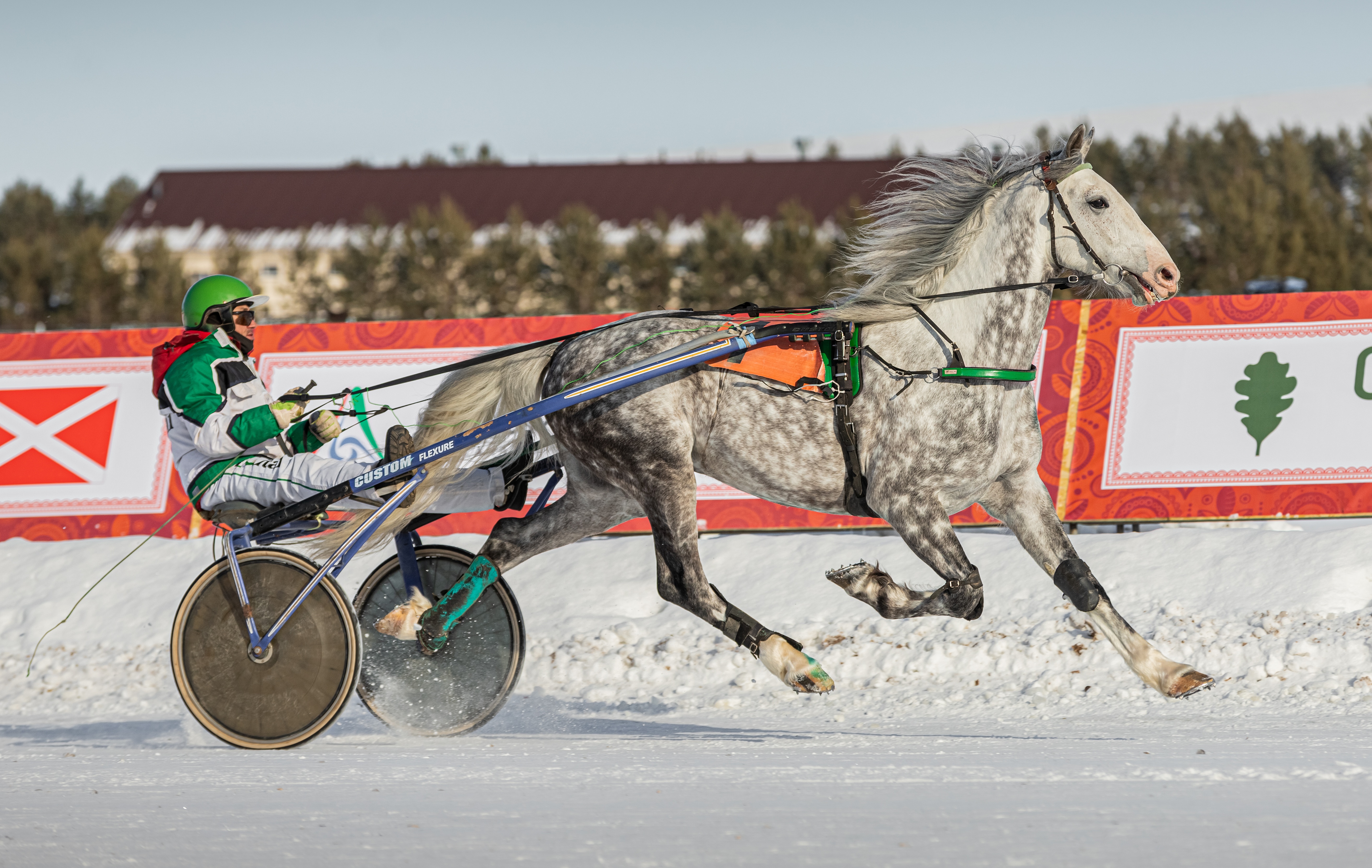 «Бочкари» на Сибирской Масленице